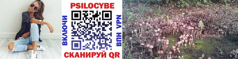 Купить где  Обоянь  Галлюциногенные грибы Cubensis 